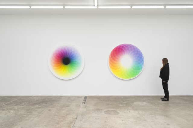 Colour experiment no. 92, 2020 and Colour experiment no. 94, 2020 - Tanya Bonakdar Gallery, Los Angeles – 2022 - Photo: Jeff White
