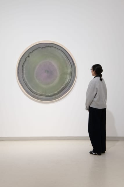 Dark lichen for brighter days, 2026 - Galería Elvira González, Madrid - Photo: Cuauhtli Gutiérrez