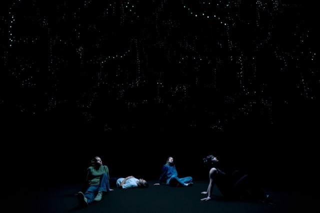 Deep seeing currents, 2026 - ARTIS, Amsterdam – 2026 - Photo: ARTIS, Maarten Nauw