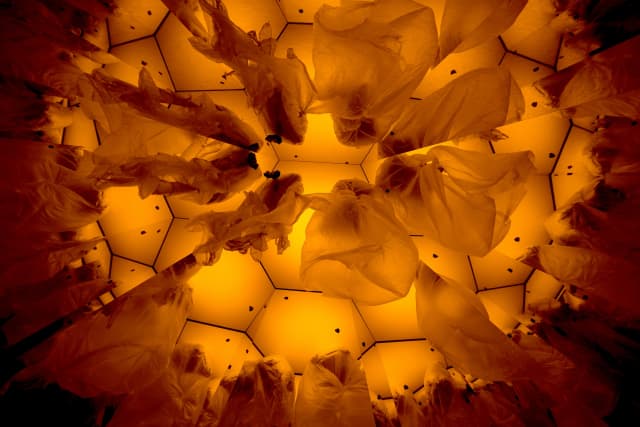 Device for seeing potential solar futures