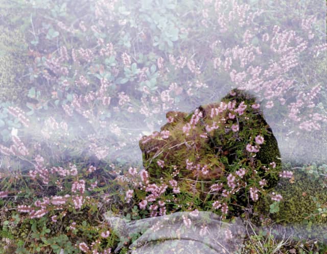 Double exposure, 2003 - Photo: Olafur Eliasson and Doug Aitken