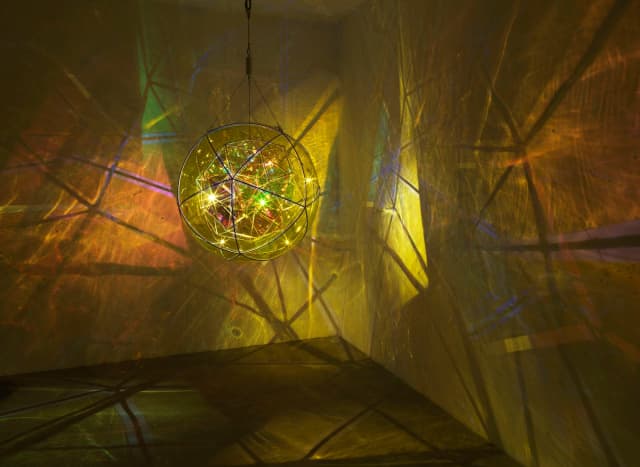 Firefly nursery, 2024 - Studio Olafur Eliasson, Berlin  – 2024 - Photo: Jens Ziehe