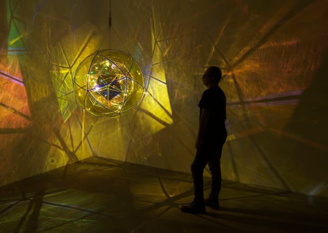 Firefly nursery, 2024 - Studio Olafur Eliasson, Berlin  – 2024 - Photo: Jens Ziehe