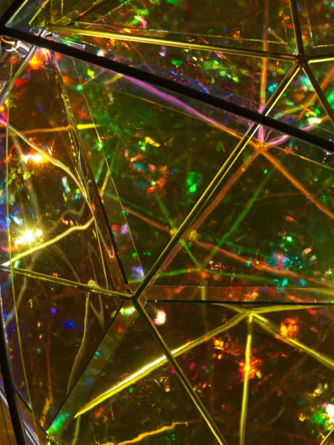 Firefly nursery, 2024 - Studio Olafur Eliasson, Berlin  – 2024 - Photo: Jens Ziehe