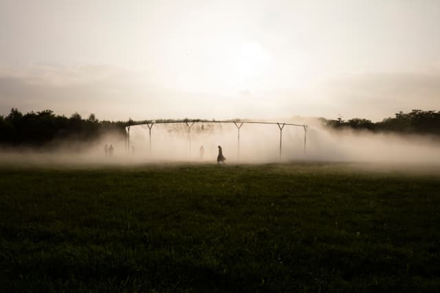 Fog assembly, 2016 - Palace of Versailles, 2016 - Photo: Anders Sune Berg