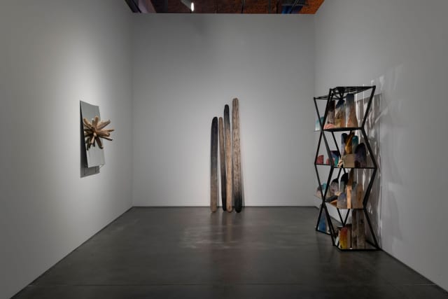 Installation view of More-than-human-gathering, Your falling apart and loving the pieces, 2020, and Arctic Ocean navigation star (Dubhe) - Istanbul Museum of Modern Art, Istanbul, Turkey – 2024 - Photo: Kayhan Kaygusuz