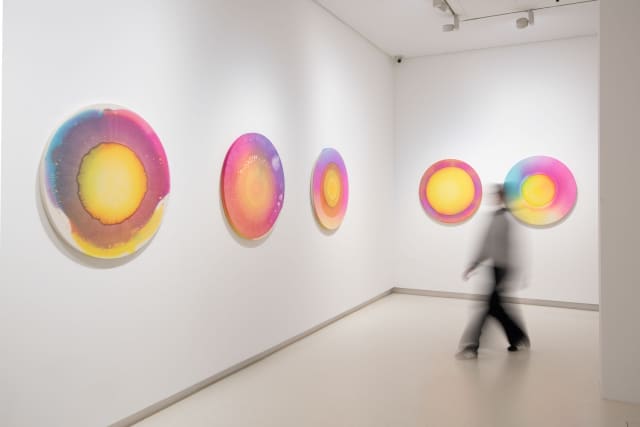 Installation view of Seven days of sunlight, 2026 - Galería Elvira González, Madrid - Photo: Cuauhtli Gutiérrez