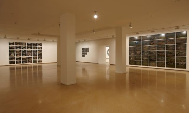 Installation view - Museum of Contemporary Art, Sydney, 2009 - Photo: Jenni Carter