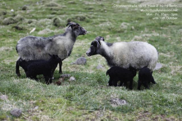 Invitation for Grey Sheep, 23 September 2011