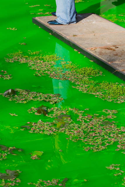 Life, 2021, detail - Fondation Beyeler, Riehen / Basel, Switzerland – 2021 - Photo: Pati Grabowicz