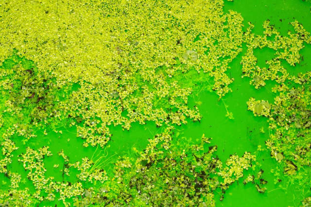 Life, 2021, detail - Fondation Beyeler, Riehen / Basel, Switzerland – 2021 - Photo: Pati Grabowicz