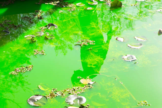 Life, 2021, detail - Fondation Beyeler, Riehen / Basel, Switzerland – 2021 - Photo: Pati Grabowicz