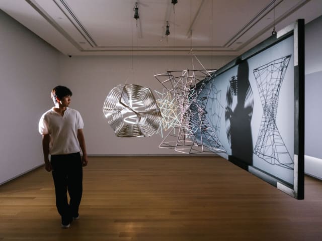 Life is lived along lines, 2009 - Auckland Art Gallery Toi o Tāmaki, Auckland, New Zealand – 2024 - Photo: David St George