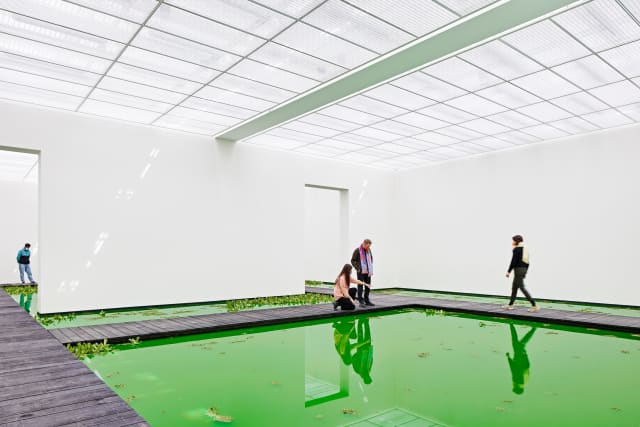 Life, 2021 - Fondation Beyeler – 2021 - Photo: Mark Niedermann