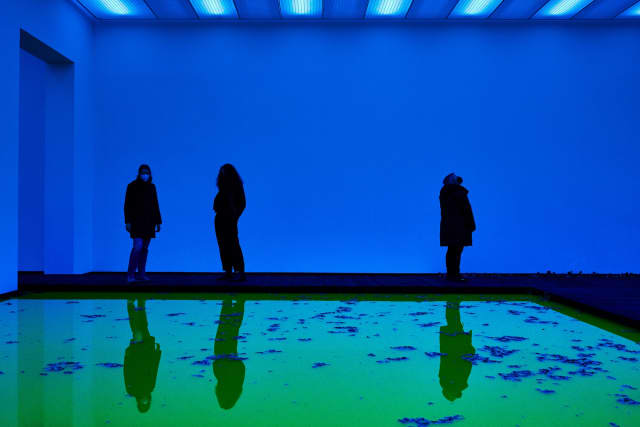 Life, 2021 - Fondation Beyeler – 2021 - Photo: Mark Niedermann