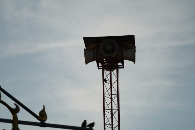 More-than-human songs, 2021 - Thailand Biennale Korat – 2021 - Photo: Phiraya Ardwichai