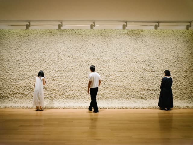 Moss wall, 1994 - Auckland Art Gallery Toi o Tāmaki, Auckland, New Zealand – 2024 - Photo: David St George