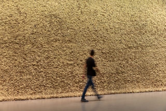 Moss wall, 1994 - Taipei Fine Arts Museum, Taipei – 2025 - Photo:  Taipei Fine Arts Museum