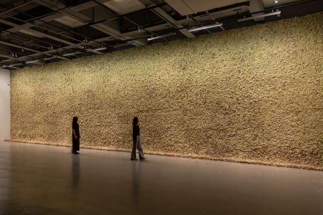 Moss wall, 1994 - Taipei Fine Arts Museum, Taipei – 2025 - Photo:  Taipei Fine Arts Museum