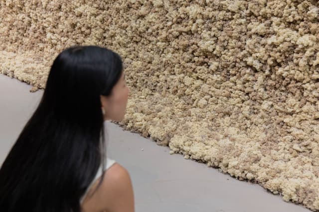 Moss wall, 1994 - Taipei Fine Arts Museum, Taipei – 2025 - Photo: Irene Lin