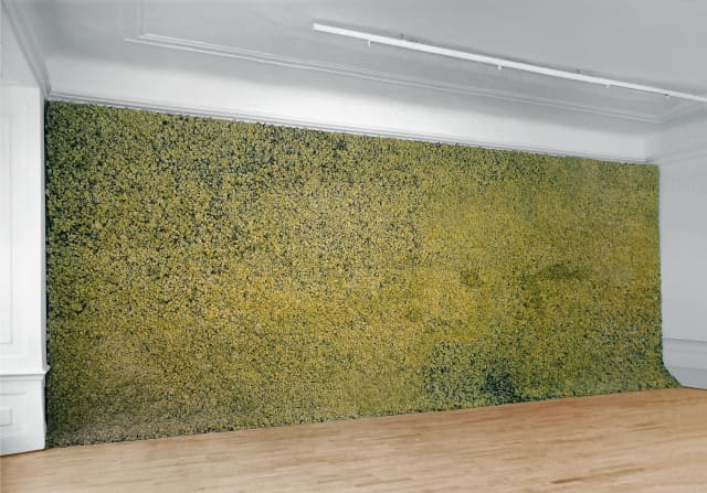Moss wall, 1994 - Neue Galerie am Landesmuseum Joanneum, Graz, 2000 – 1994 - Photo: Koinegg