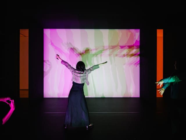 Multiple shadow house, 2010 - Auckland Art Gallery Toi o Tāmaki, Auckland, New Zealand – 2024 - Photo: David St George