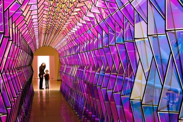 One-way colour tunnel, 2007 - San Francisco Museum of Modern Art, 2007 - Photo: Ian Reeves / Courtesy of San Francisco Museum of Modern Art