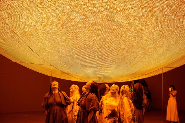 Presence, 2025 - QAGOMA, Brisbane – 2025 - Photo: Chloë Callistemon © QAGOMA