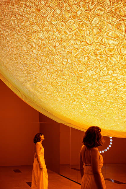 Presence, 2025 - QAGOMA, Brisbane – 2025 - Photo: Chloë Callistemon © QAGOMA