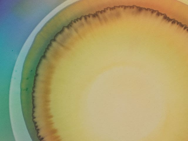 Seven days of sunlight (Friday), 2026 - Photo: Jens Ziehe