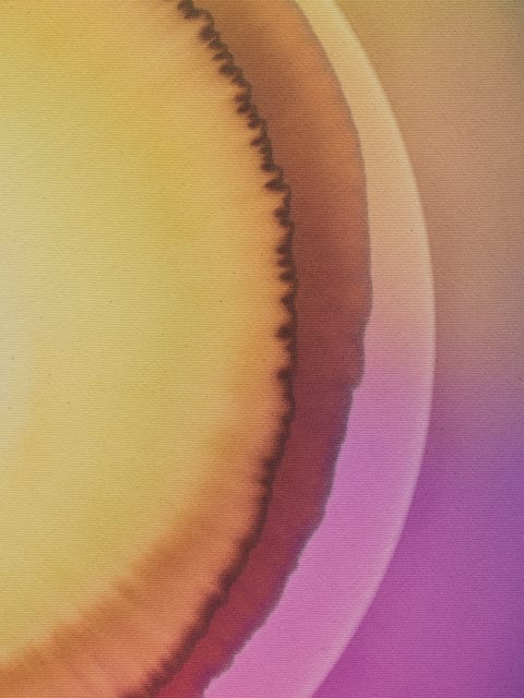 Seven days of sunlight (Friday), 2026 - Photo: Jens Ziehe