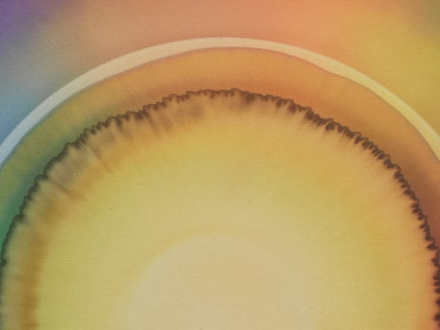 Seven days of sunlight (Friday), 2026 - Photo: Jens Ziehe