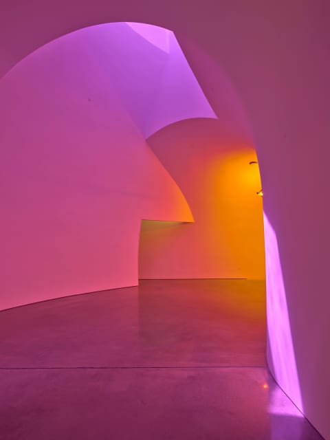 Sometimes an underground movement is an illuminated bridge, 2020 - Museum of Fine Arts, Houston – 2021