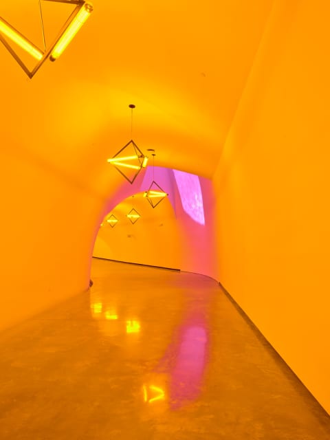 Sometimes an underground movement is an illuminated bridge, 2020 - Museum of Fine Arts, Houston – 2021