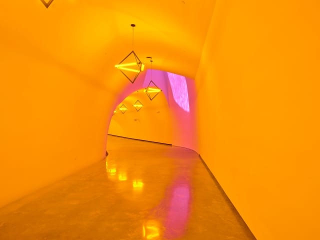 Sometimes an underground movement is an illuminated bridge, 2020 - Museum of Fine Arts, Houston – 2021