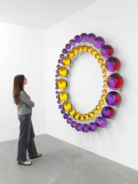 Successful coexistence beyond earth, 2025 - Studio Olafur Eliasson, Berlin  – 2025 - Photo: Jens Ziehe