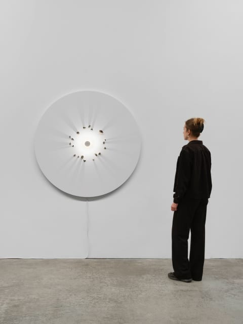 The authority of art (day), 2014 - neugerriemschneider, Berlin – 2026 - Photo: Marjorie Brunet Plaza