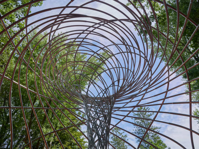 The curious vortex, 2019 - The Serralves Museum of Contemporary Art – 2019 - Photo: Filipe Braga