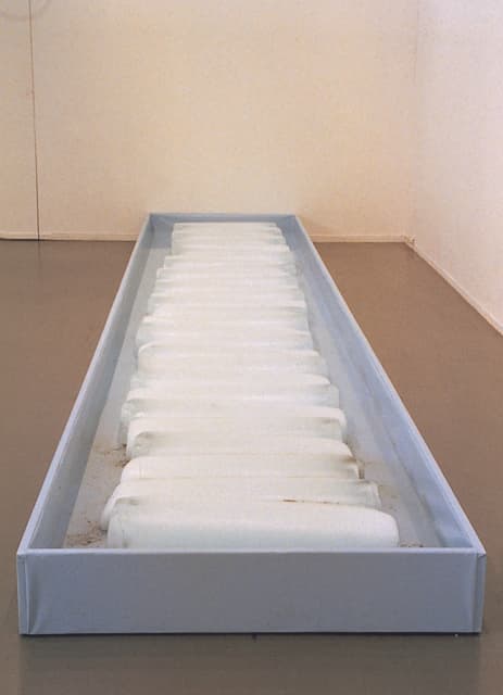 The very large ice step experienced, 1998 - Musée d´Art Moderne de la Ville de Paris, 1998