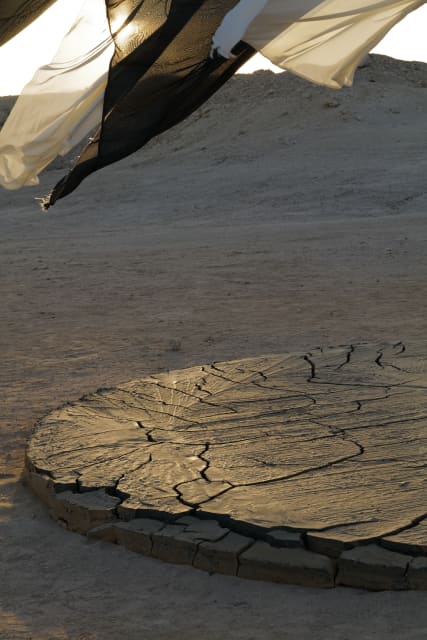 Your glacial dust garden - Al Thakhira, Qatar – 2023 - Photo: Amelia Pallett