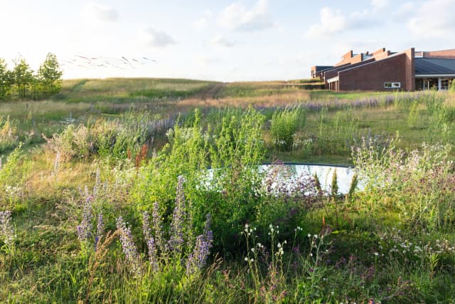 Your glacial expectations, 2012 (2012) - Kvadrat headquarters, Ebeltoft, Denmark – 2013 - Photo: Iwan Baan