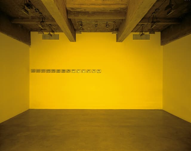 Your inverted veto, 1998 - Tanya Bonakdar Gallery, New York, 1998