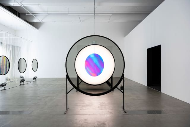 Your negotiable vulnerability seen from two perspectives, 2025 - QAGOMA, Brisbane – 2025 - Photo: Nicholas Umek © QAGOMA