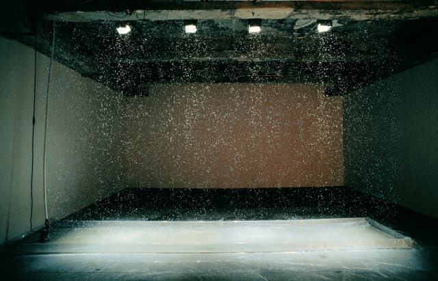 Your strange certainty still kept, 1996 - Tanya Bonakdar Gallery, New York, 1996