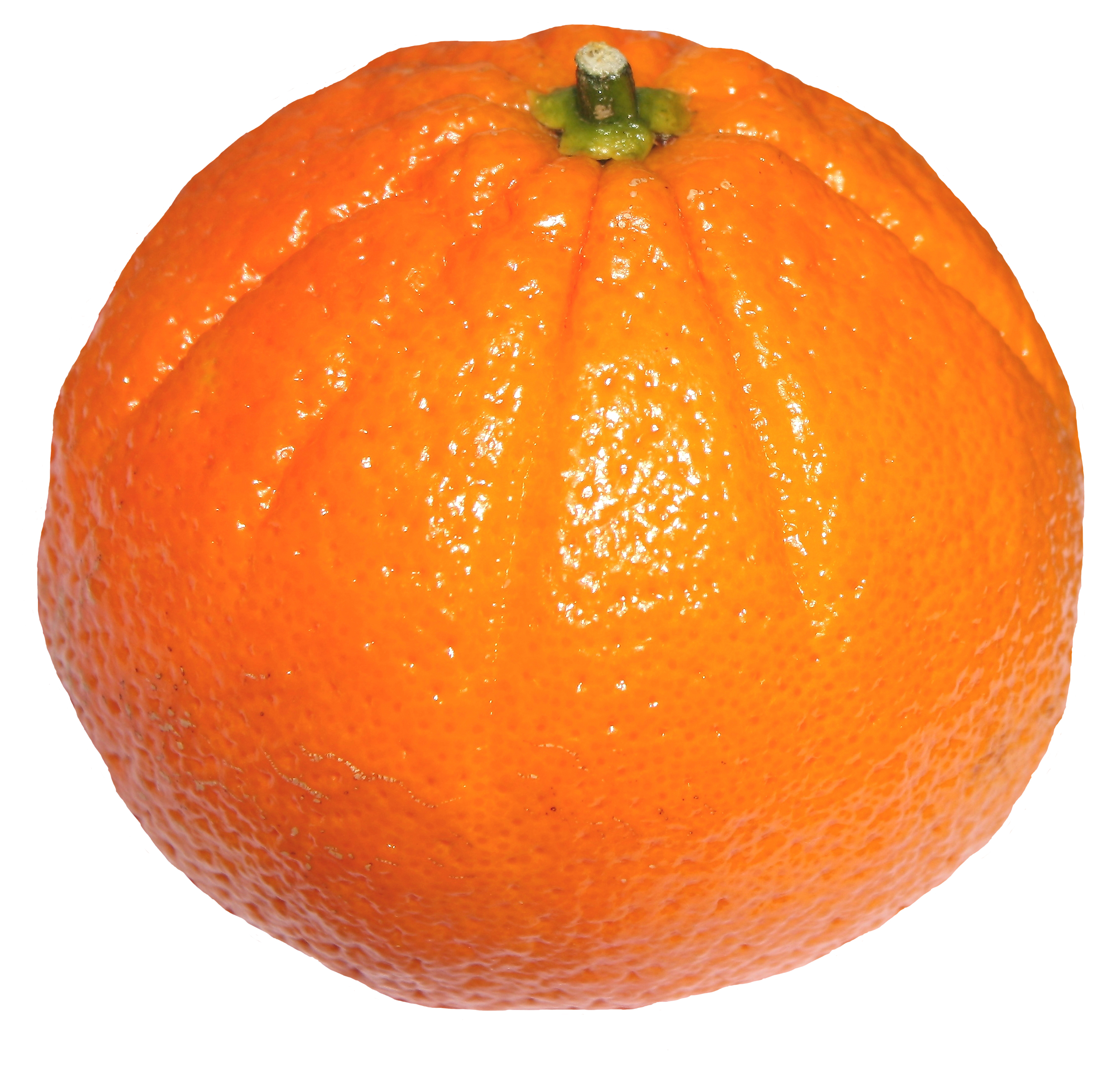 orange fruit