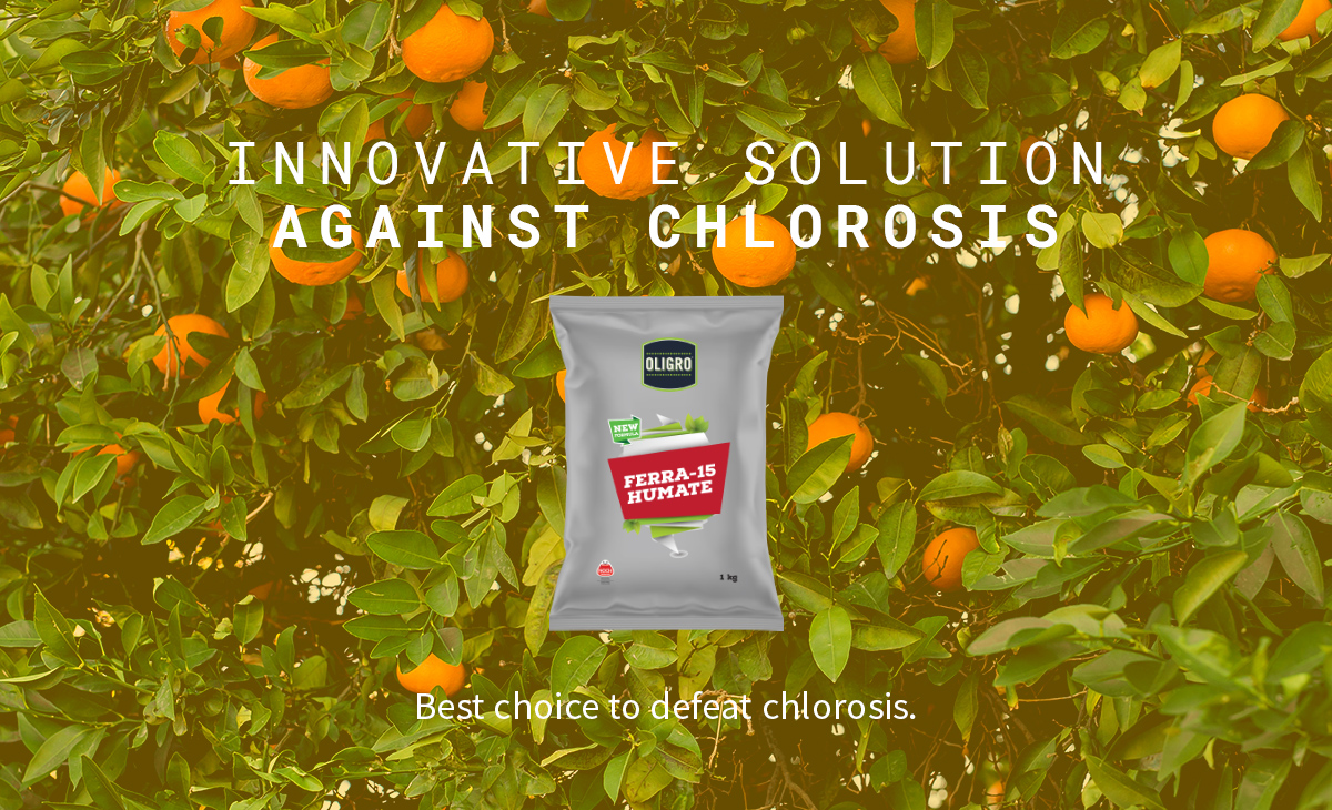 Innovative Solutions Against Chlorosis