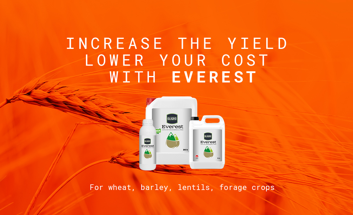 Increase The Yield Lower Your Cost With Everest