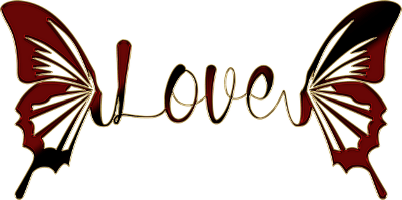 Beautiful butterfly representing love, transformation, and the phenomenal woman's journey of self-discovery and empowerment