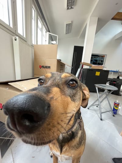 Studio visitor - © Olle Bengtsson
