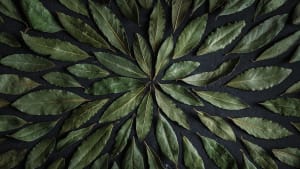 Bedriftshjørnet – for våre proffkunder